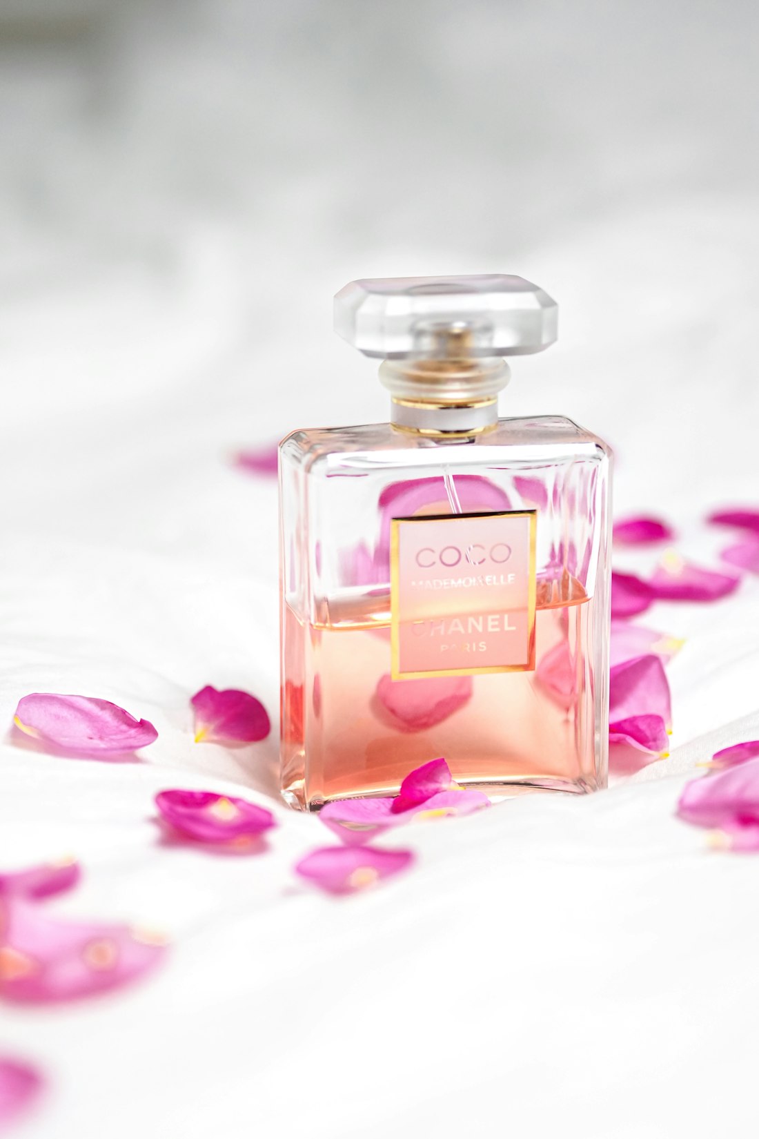 Rose Pétale